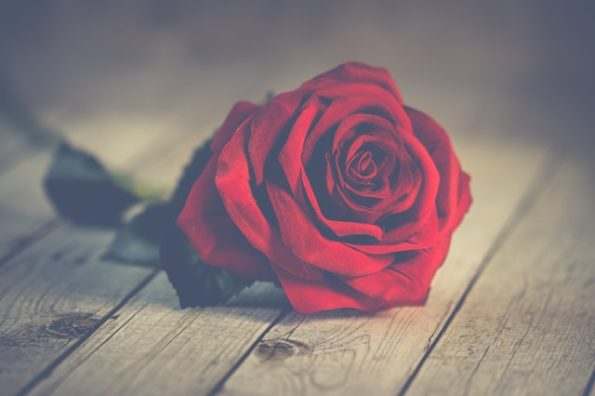 Romantic Valentine’s Day